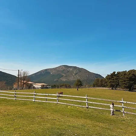 Des Pins La Bastide (Var)